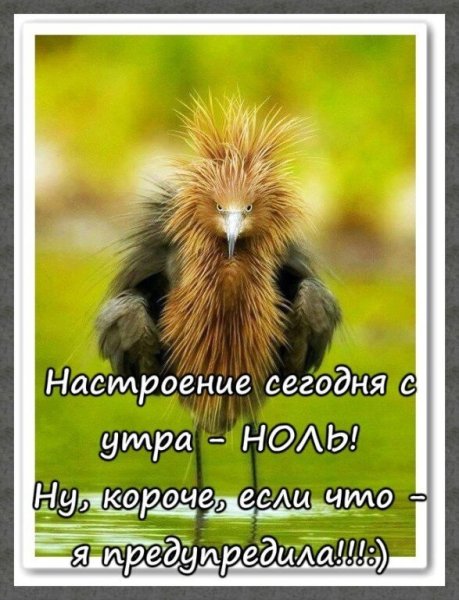 Настроение ноль