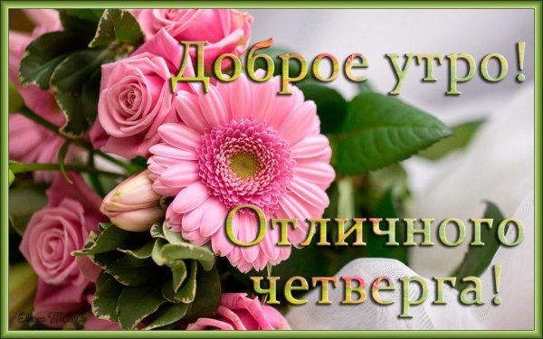 Хорошего четверга и отличного настроения