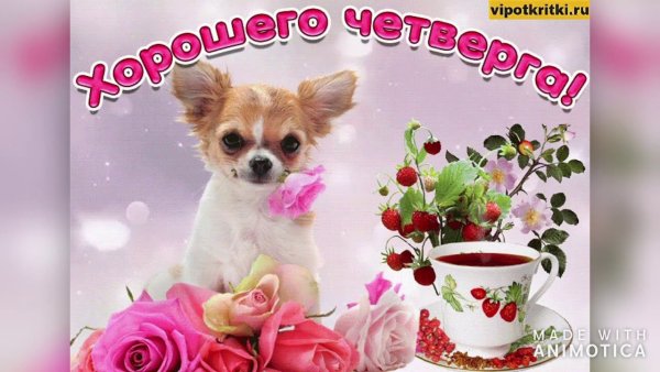 Добрый день четверг