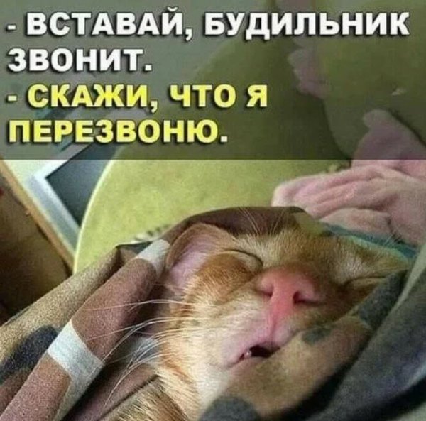 Вставай будильник звонит