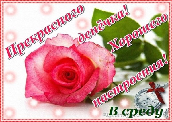 Открытки отличной среды
