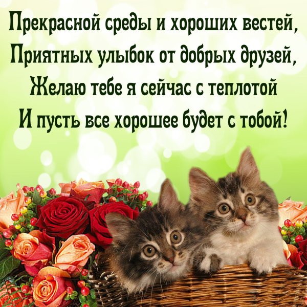 Красивые поздравления со средой