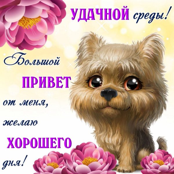 Открытки со средой