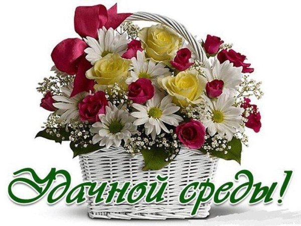 Прекрасной среды