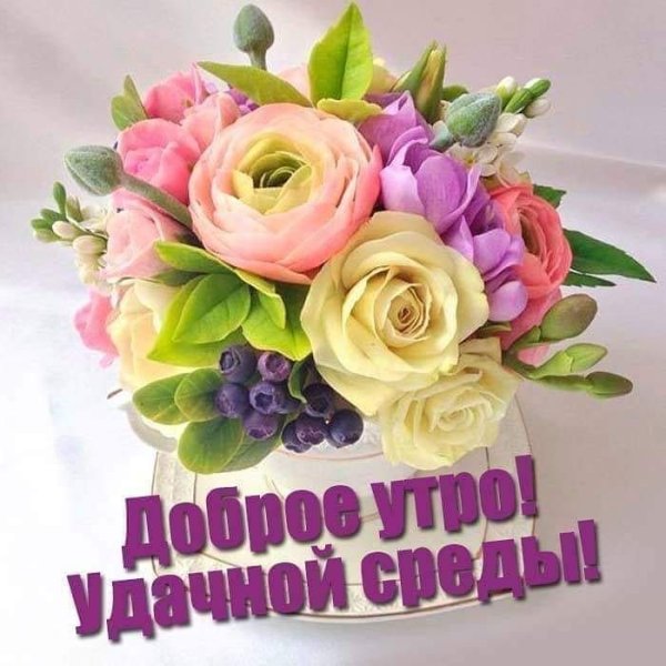 Открытки отличной среды
