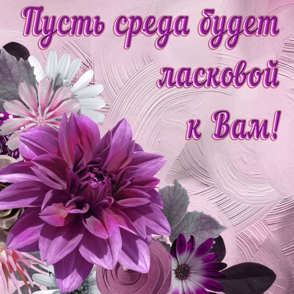 Открытки со средой