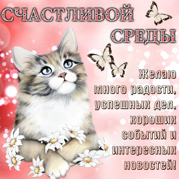 Поздравление со средой