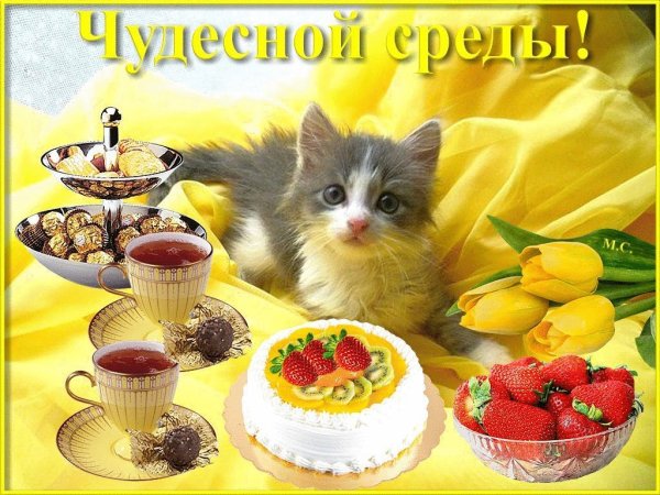 Открытки с добрым утром среды