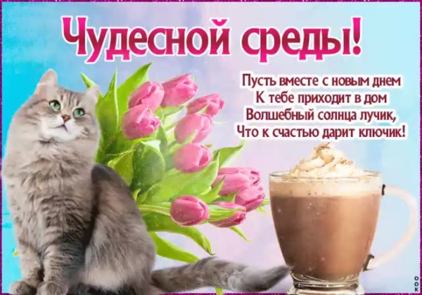 Поздравление со средой