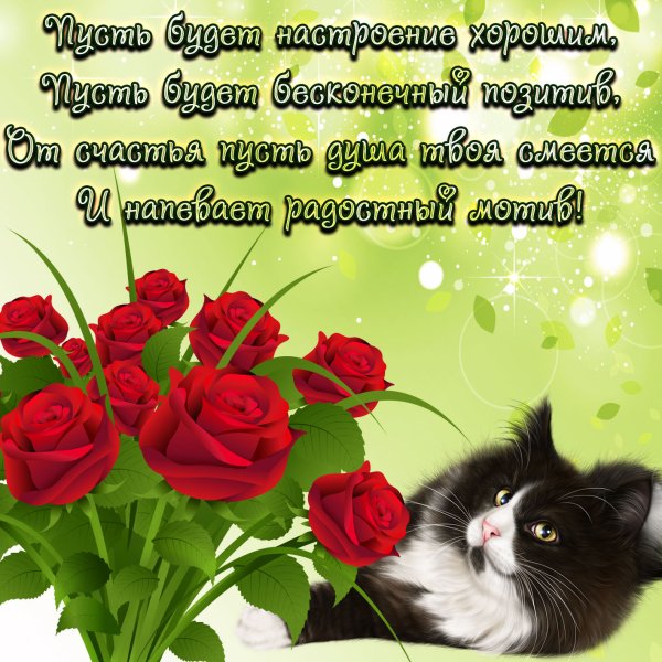 Прекрасного настроения