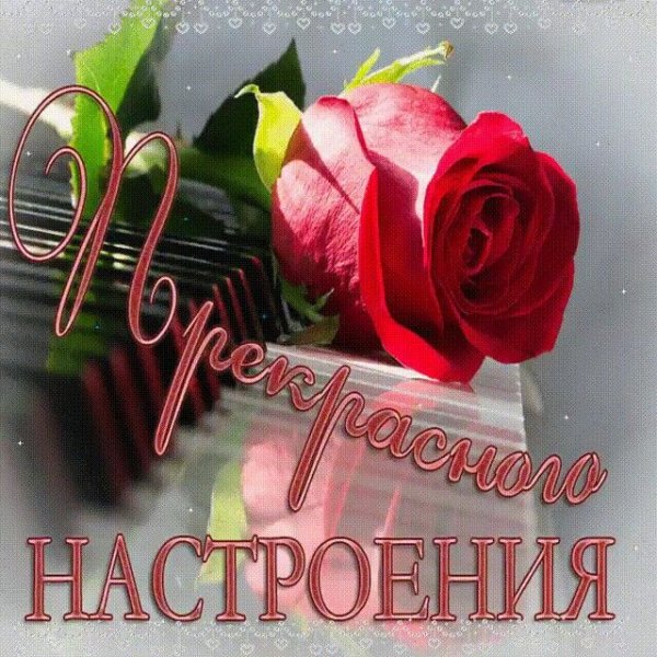 Добрые пожелания