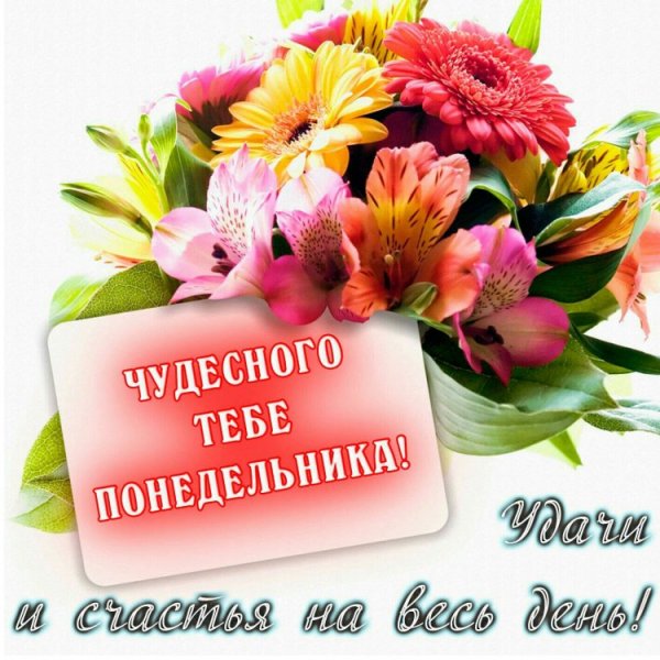 Поздравление с понедельником