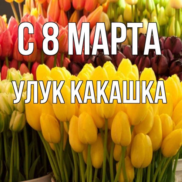 Открытки с 8 марта с тюльпанами