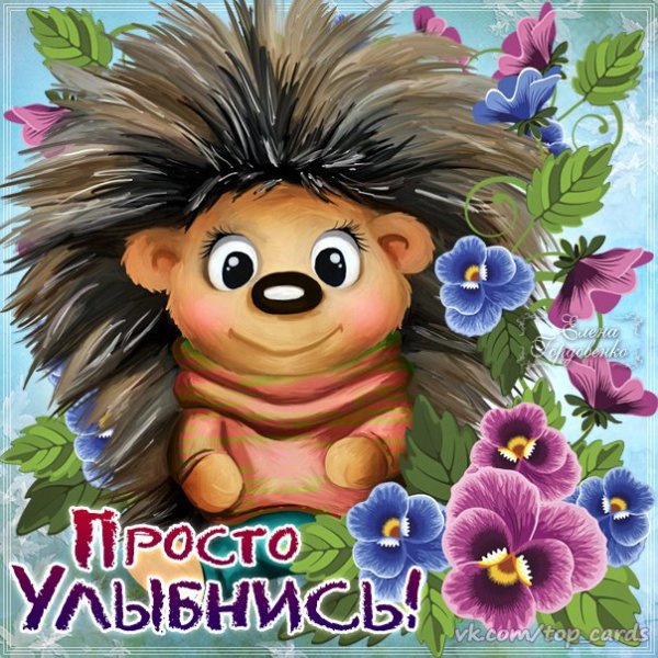 Открытки для мужчины просто так для настроения