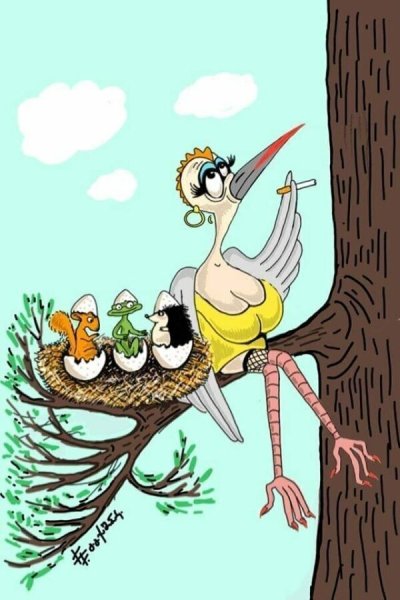 Карикатуры смешные