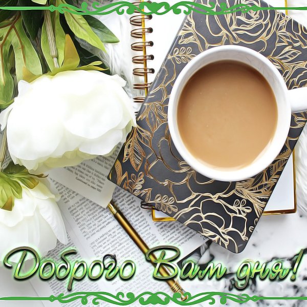 Красивые пожелания хорошего дня