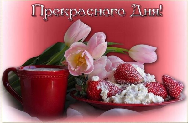 Отличного дня и хорош.настр.