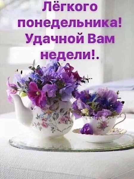 Фиалки в чашке