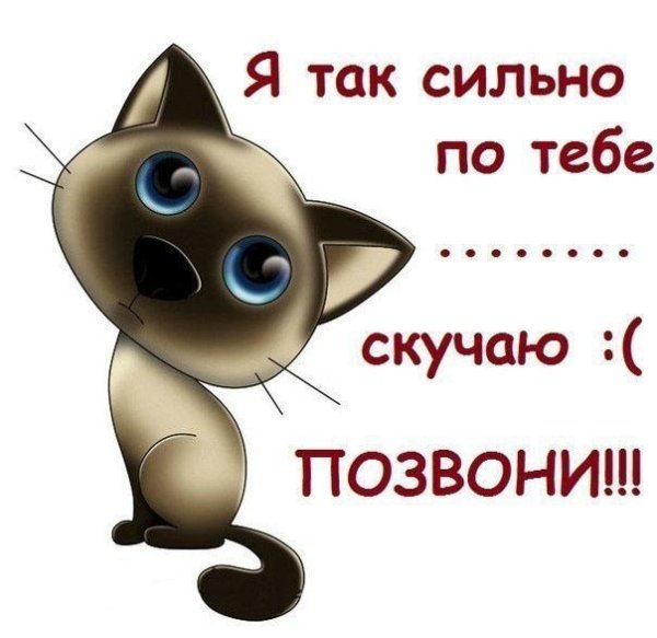 Мужу для поднятия настроения от жены