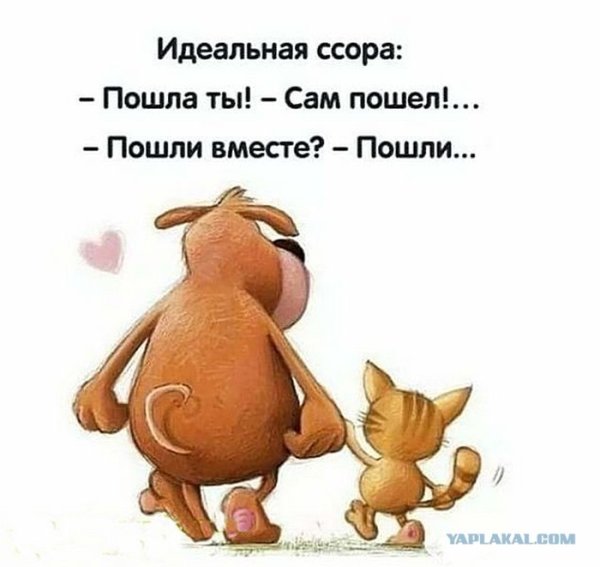 Весёлые стишки для поднятия настроения