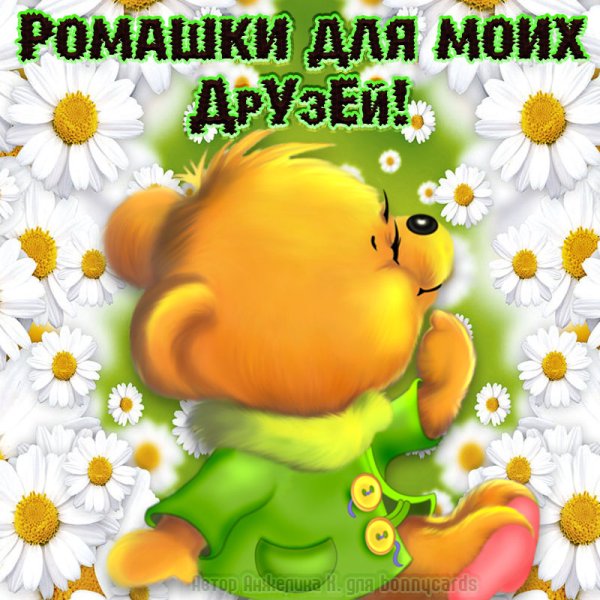 Ромашка настроения