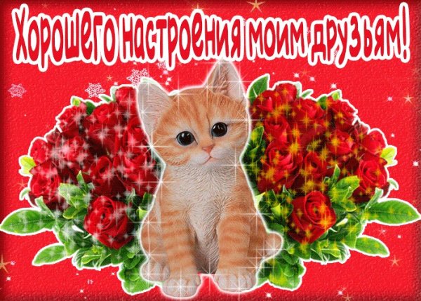 Хорошего настроения друзья