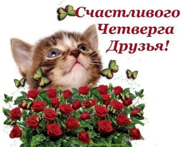 Удачного четверга и хорошего настроения