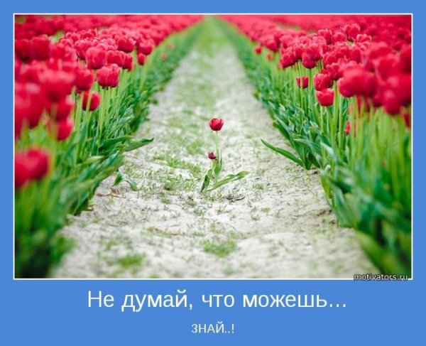 Позитивные мотиваторы настроение