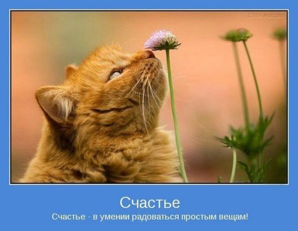 Мотиватор для поднятия настроения