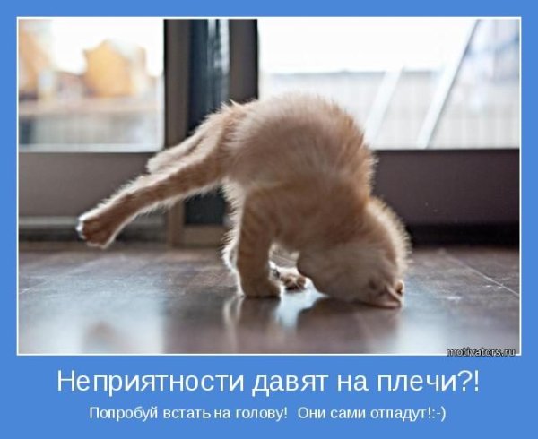 Позитивные Мотивирующие открытки