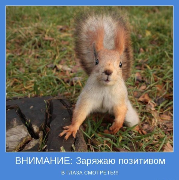 Оптимистические открытки