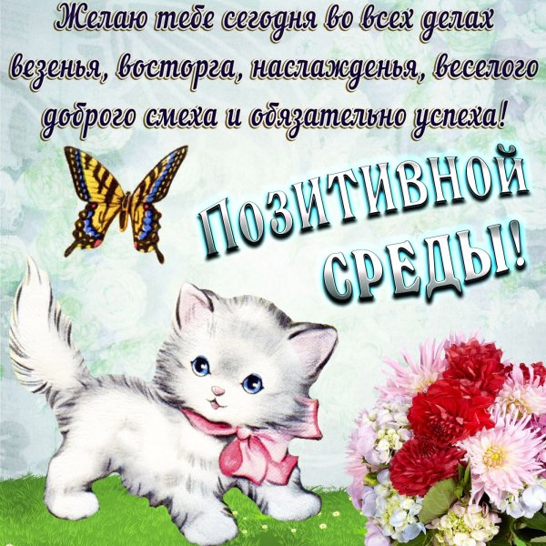 Поздравление со средой и добрым утром