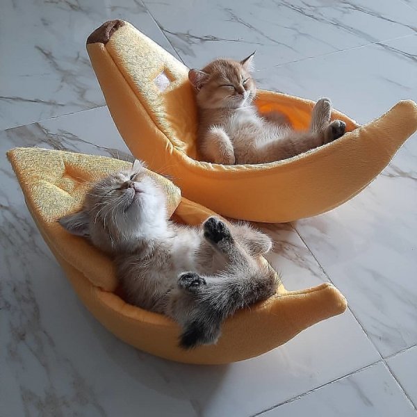 Утренний позитивчик