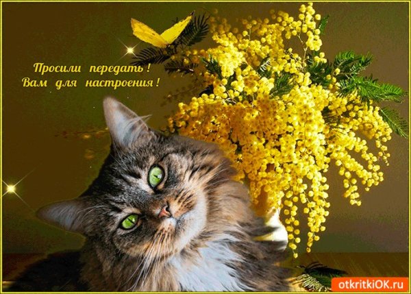 Цветочек для настроения
