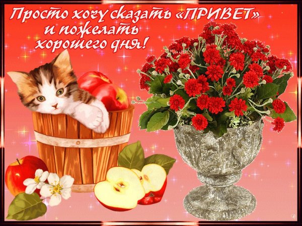 Пожелание прекрасного дня