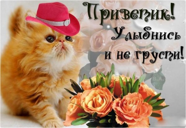 Не грусти улыбнись