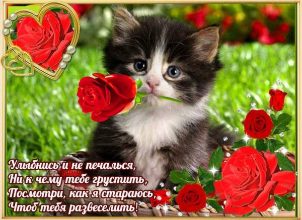 Улыбнись любимая