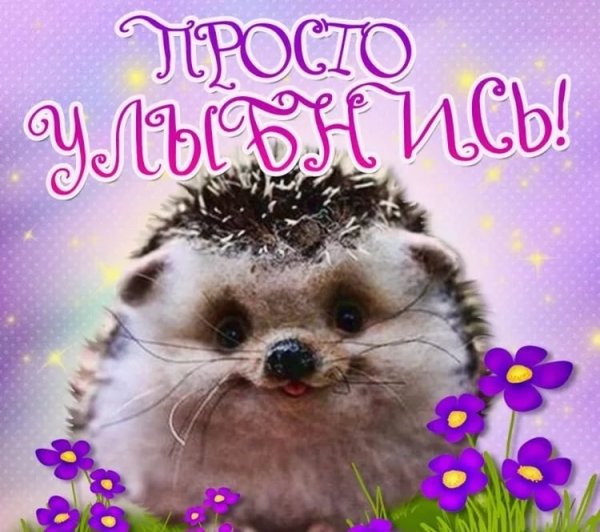 С днем рождения Ежик