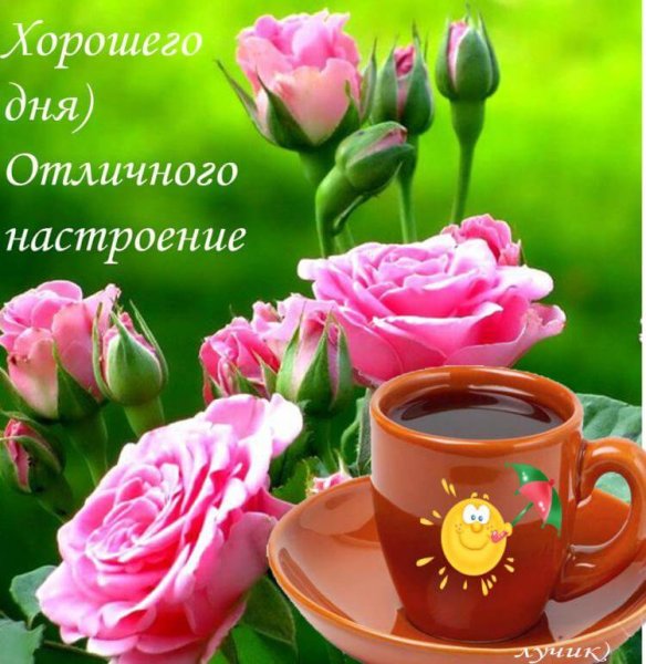 Доброго дня и хорошего настроения