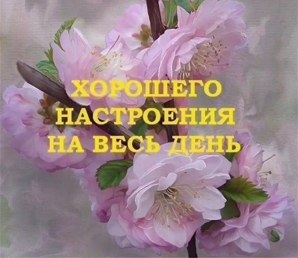 Доброе утро солнечного настроения