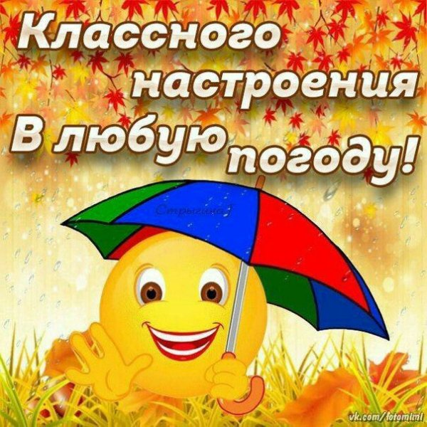 Хорогегонастроенич в оюбкю погоду