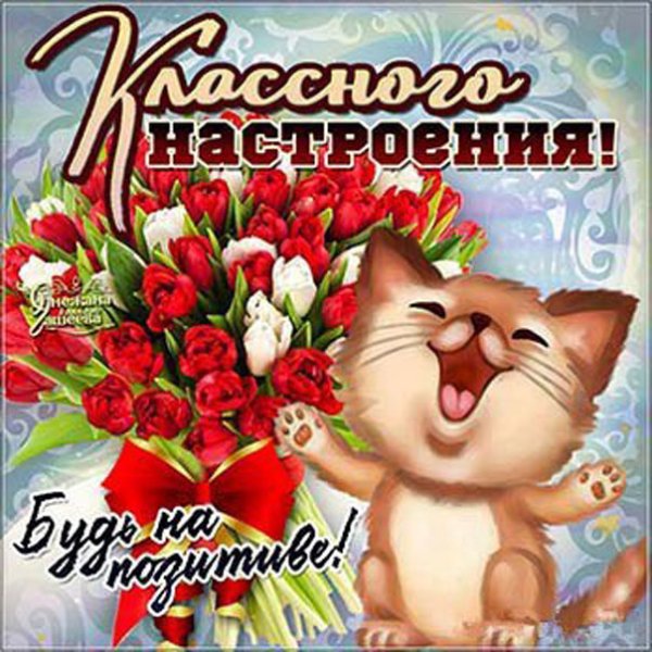 Пожелания доброго дня