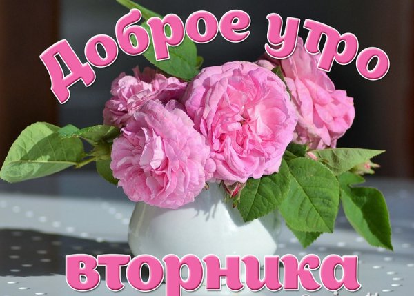 Доброе утро вторника
