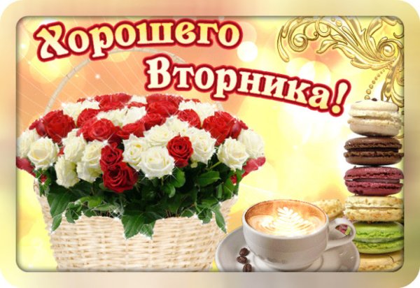 Доброго вторника и хорошего дня