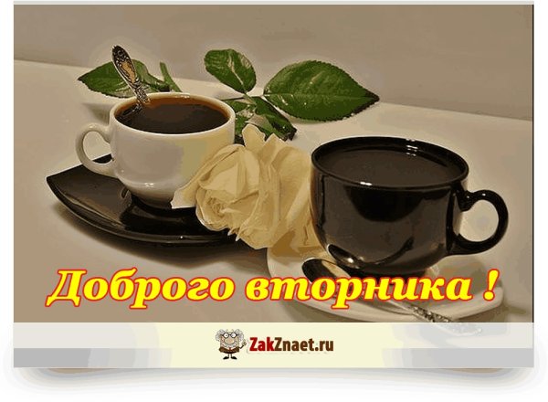 Открытки со вторником