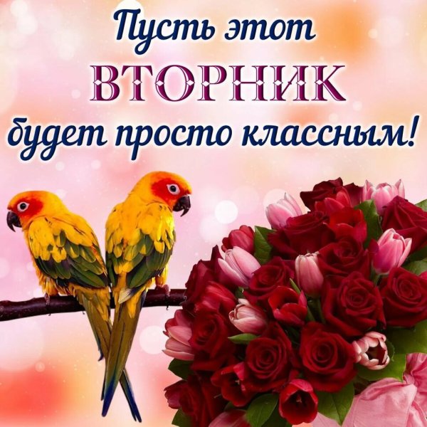 Пожелания приятного вторника и отличного настроения