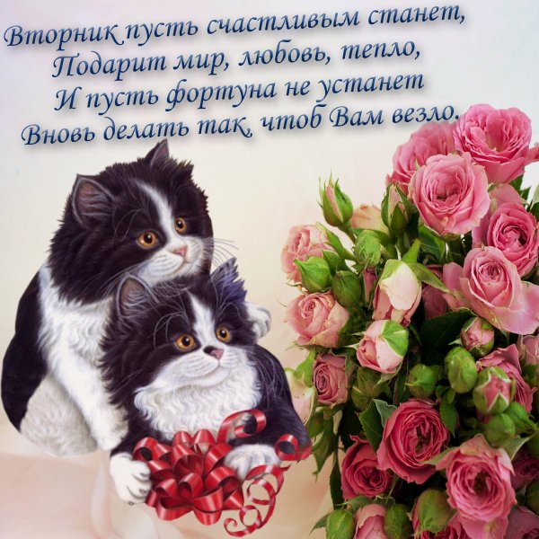Хорошего вторника