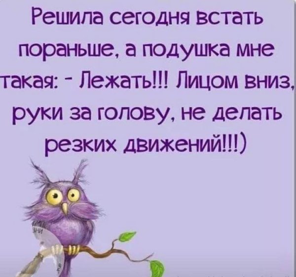 Смешные открытки для поднятия настроения