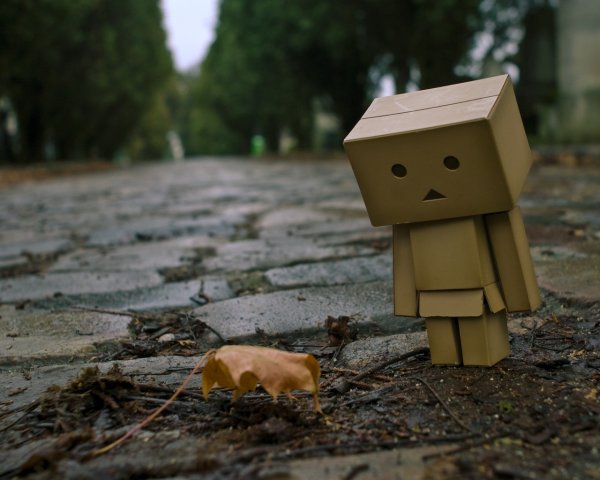 Человек с коробкой
