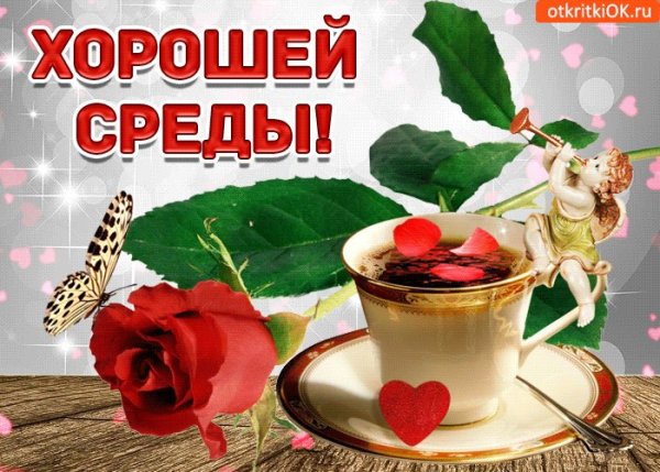 Хорошей среды и отличного настроения